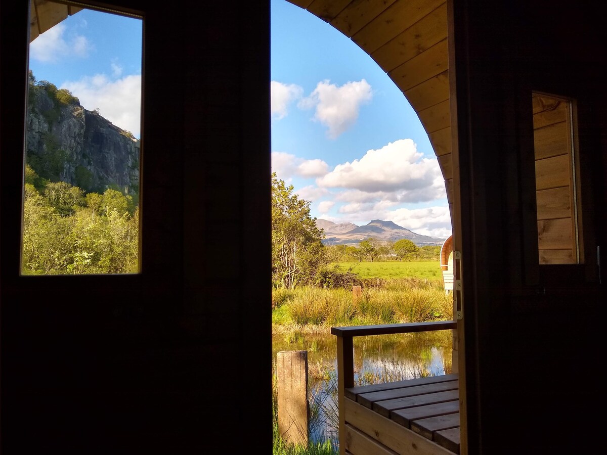 Views out of your wagon!